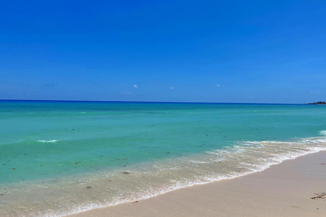 Renovated Studio In Cancun Beach At The Hotel Zone Exterior photo
