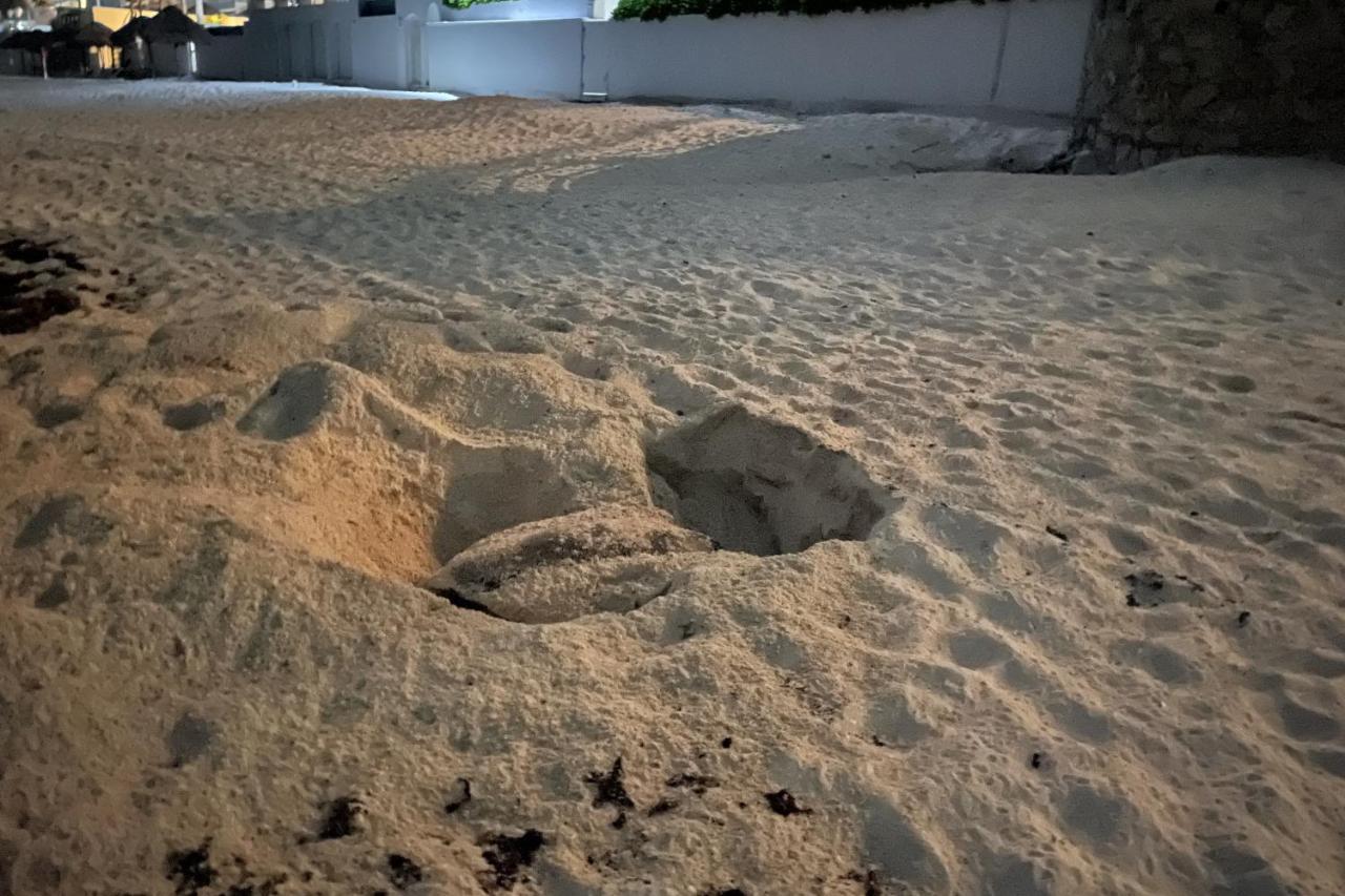 Renovated Studio In Cancun Beach At The Hotel Zone Exterior photo